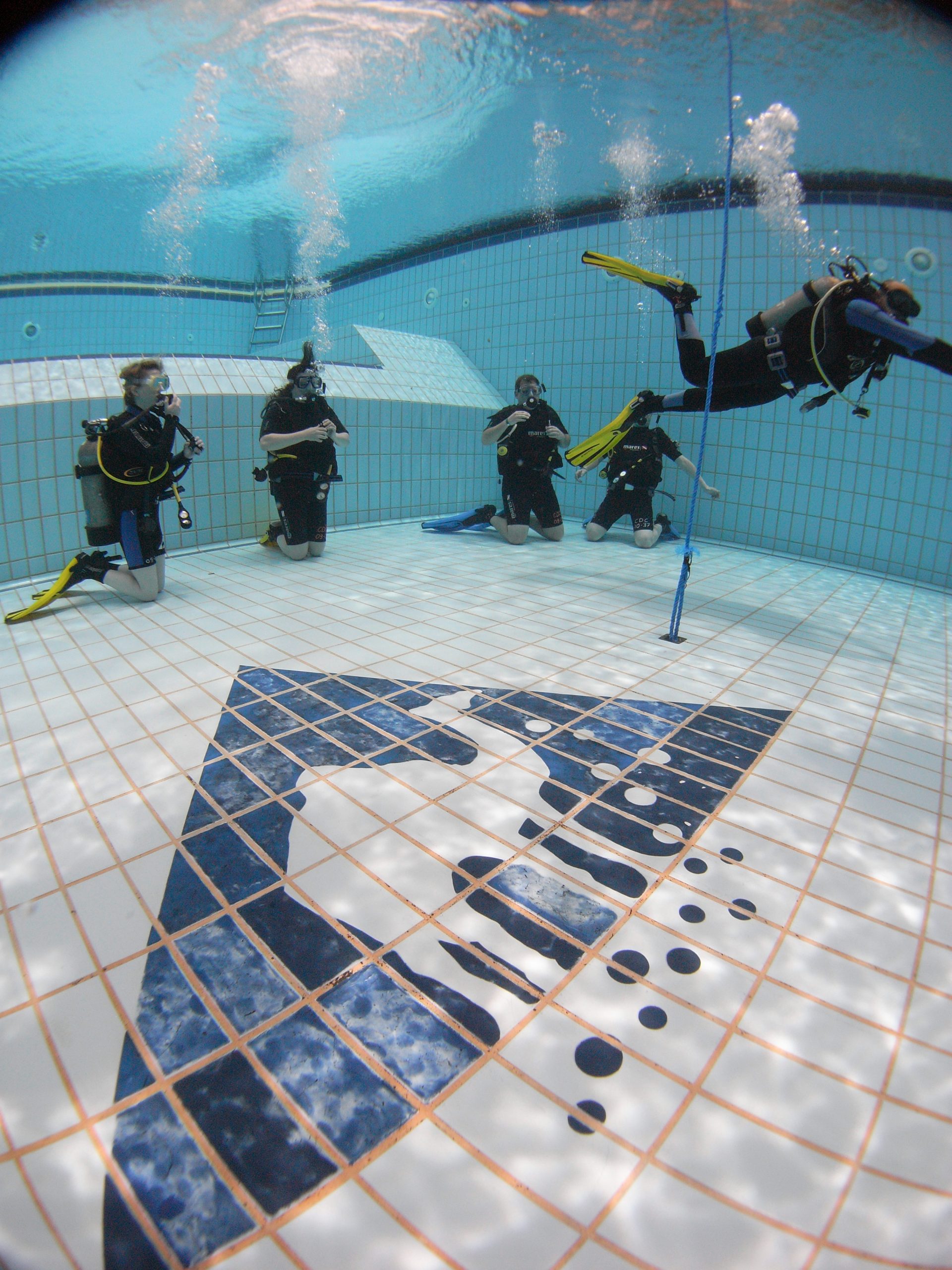 Pool Camel Dive Club