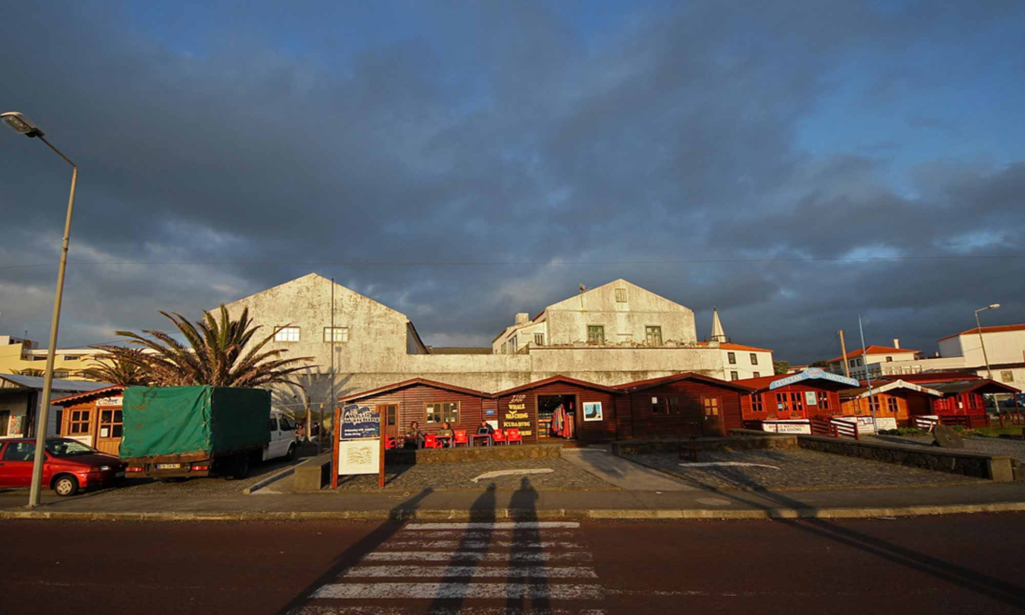 Slow Dive Atlantik Azoren Pico Sport Tauchbasis