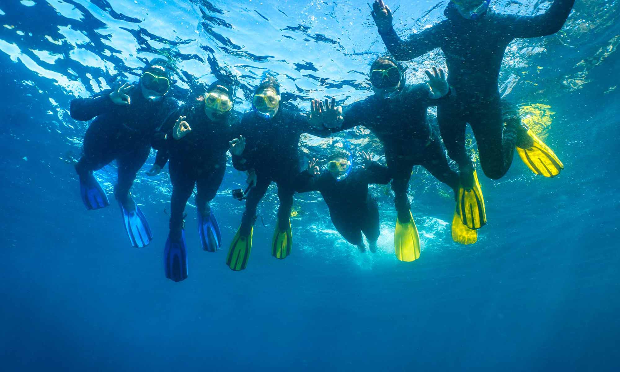 Slow Dive Atlantik Kanarische Inseln Blackstone Dive Center Teneriffa Unterwasser