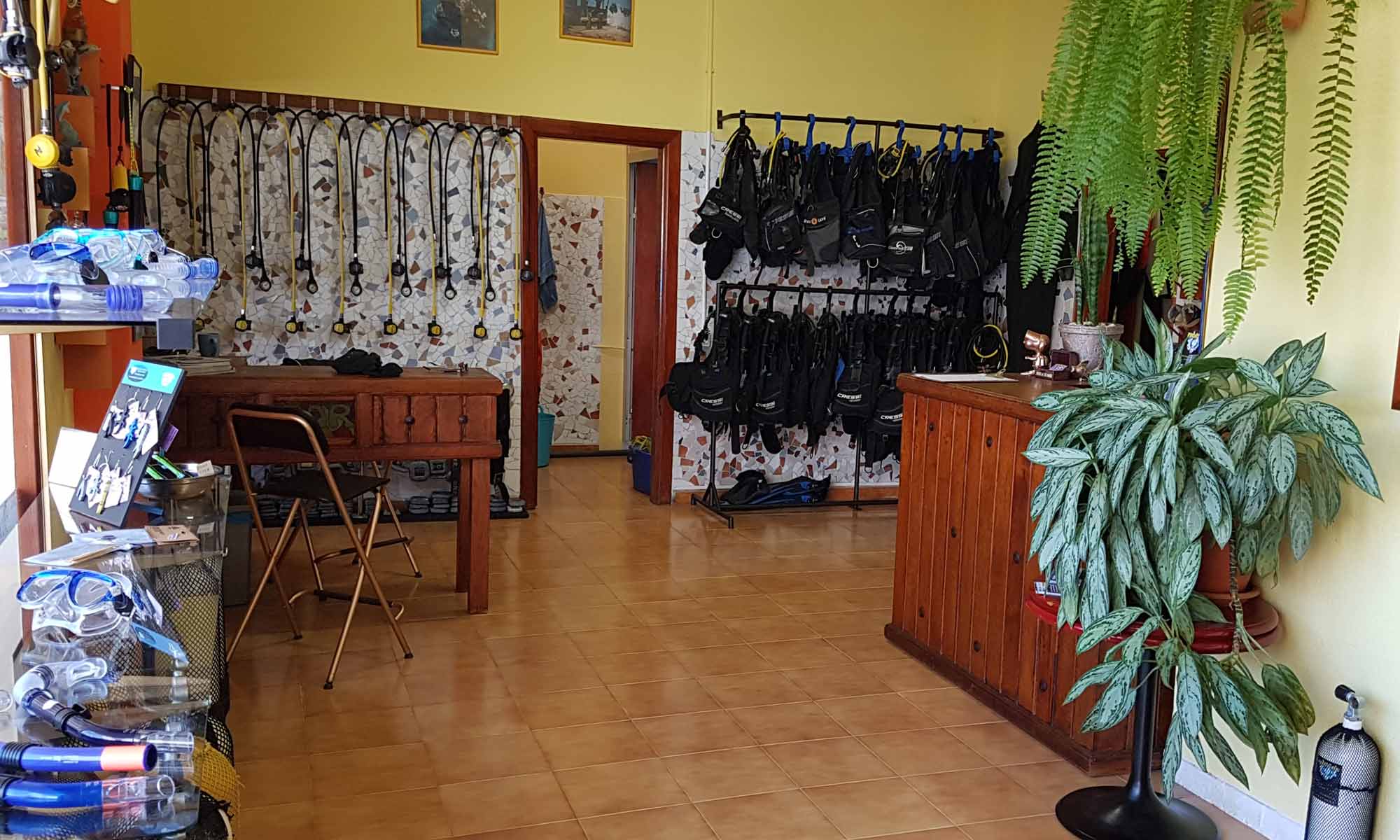 Slow Dive Atlantik Kanarische Inseln Buceo Sub La Palma Shop