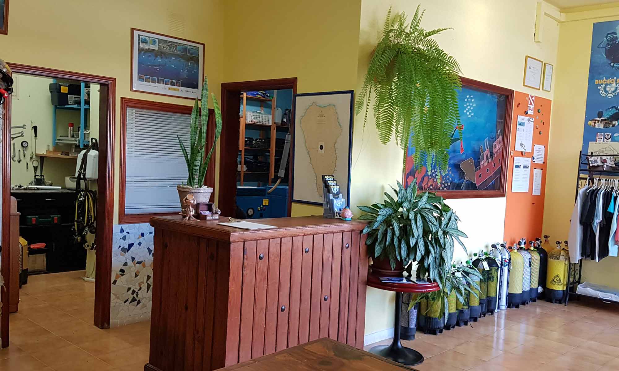 Slow Dive Atlantik Kanarische Inseln Buceo Sub La Palma Tauchcenter