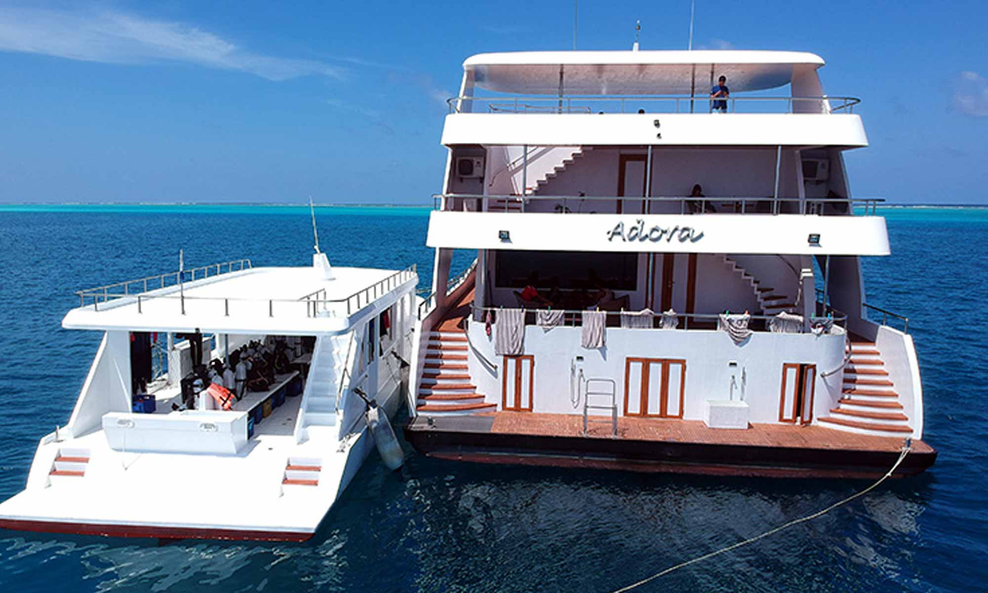 Slow Dive Indischer Ozean Malediven Adora Tauchdhoni