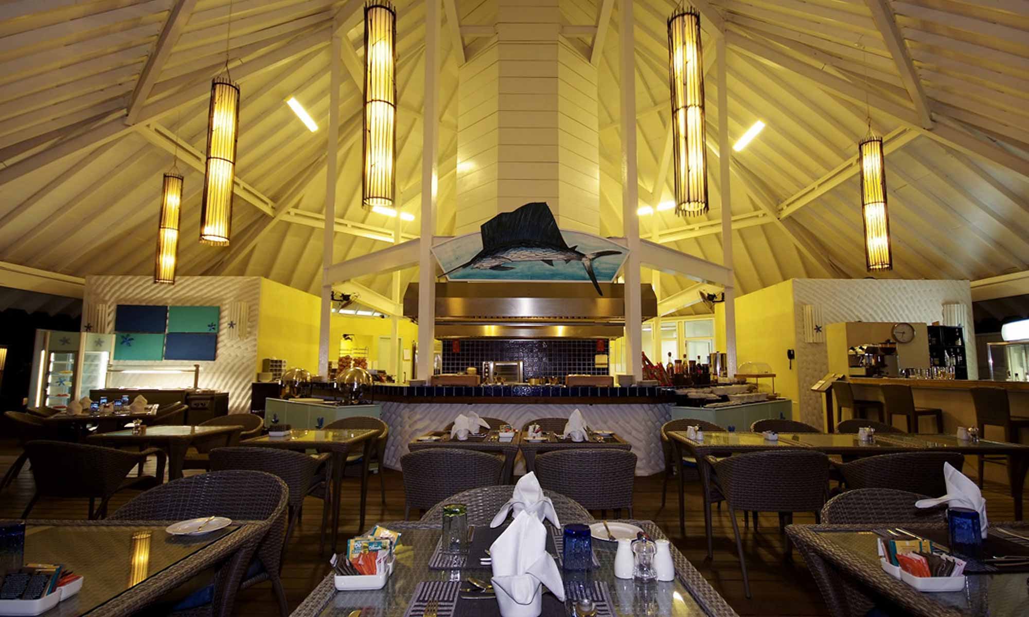 Slow Dive Indischer Ozean Malediven Ellaidhoo Bar