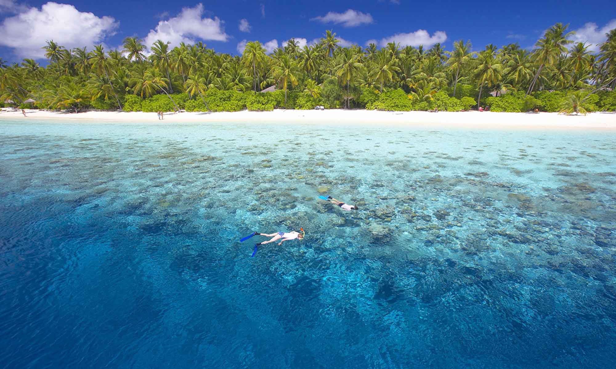 Slow Dive Indischer Ozean Malediven Filitheyo Island Resort Schnorcheln