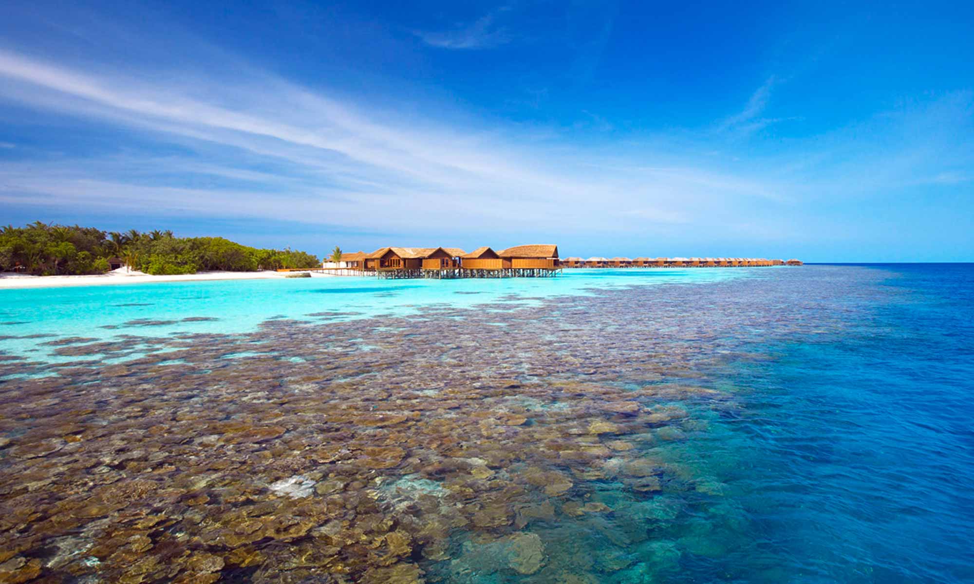 Slow Dive Indischer Ozean Malediven Lily Beach Resort Korallenriff