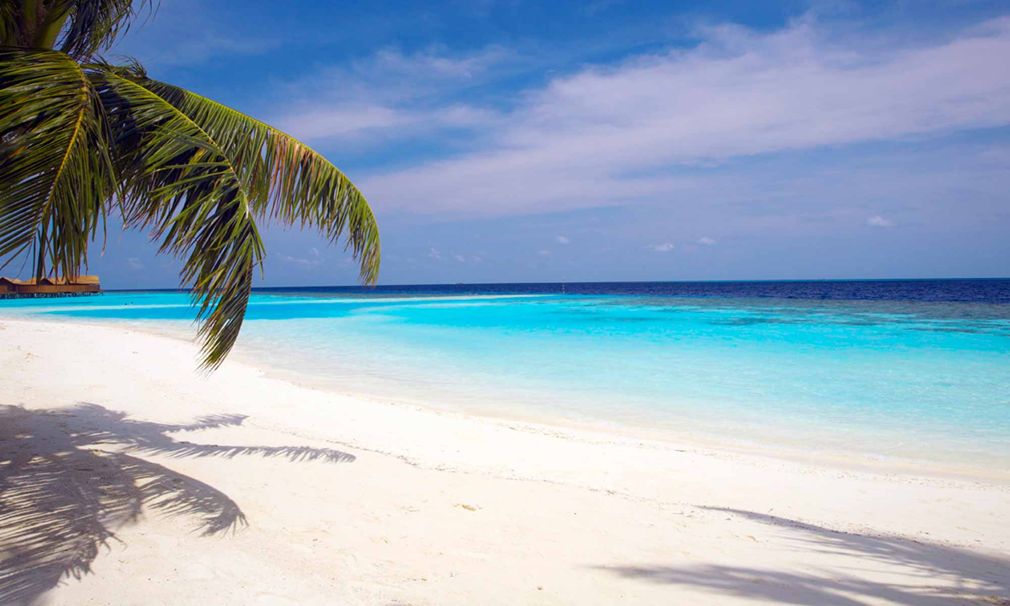 Slow Dive Indischer Ozean Malediven Lily Beach Resort Strandausblick