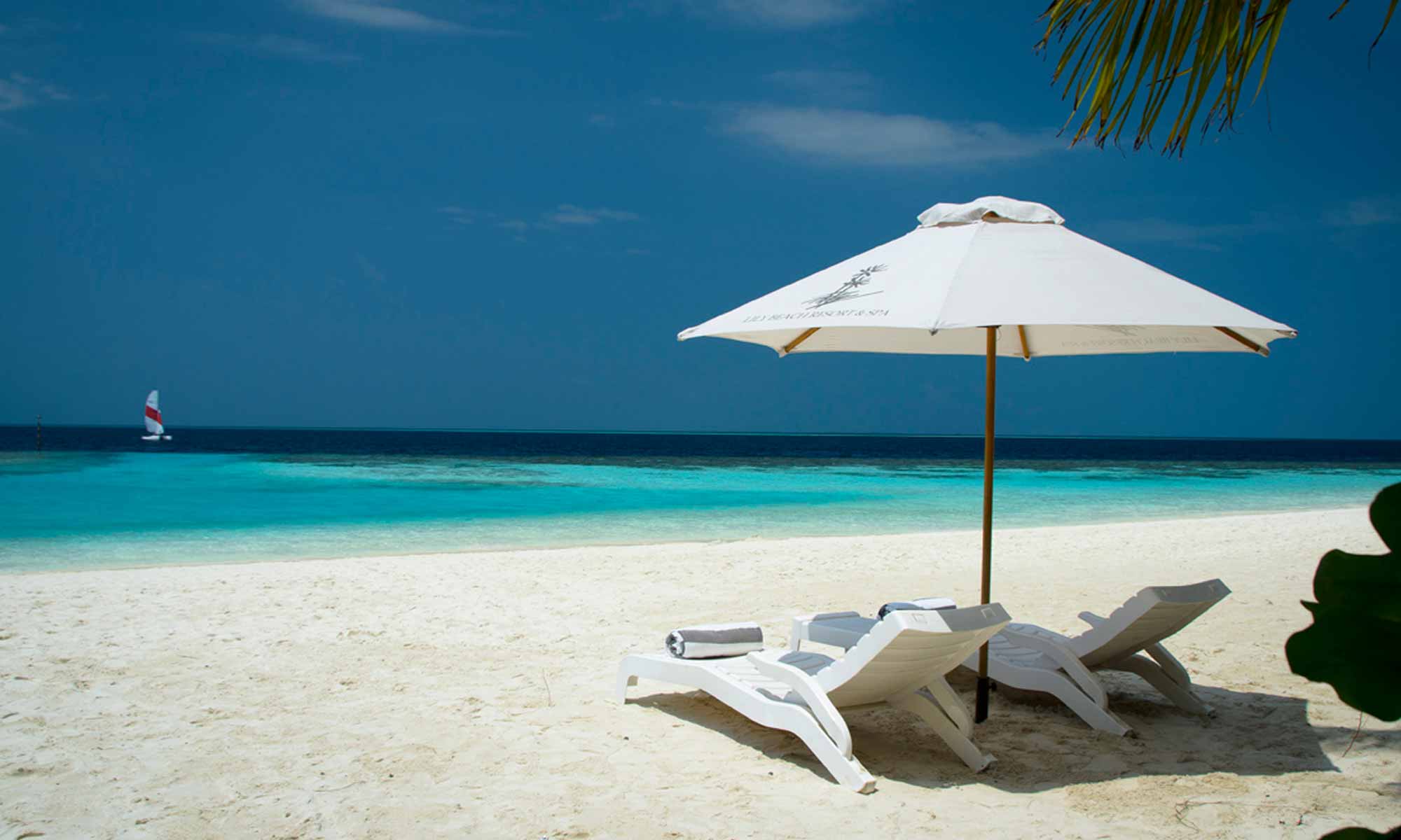 Slow Dive Indischer Ozean Malediven Lily Beach Resort Traumstrand