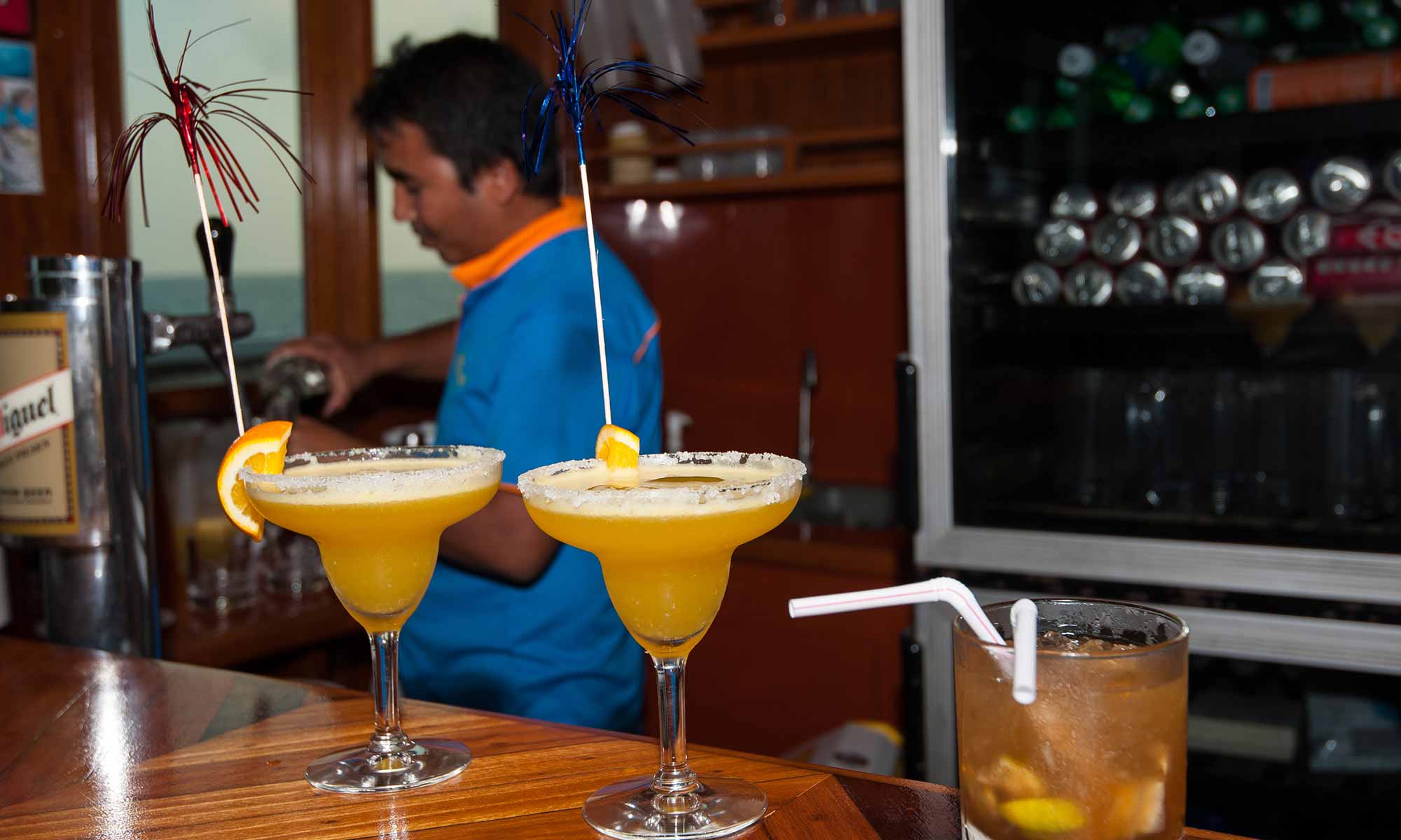 Slow Dive Indischer Ozean Malediven Nautilus Two Bar