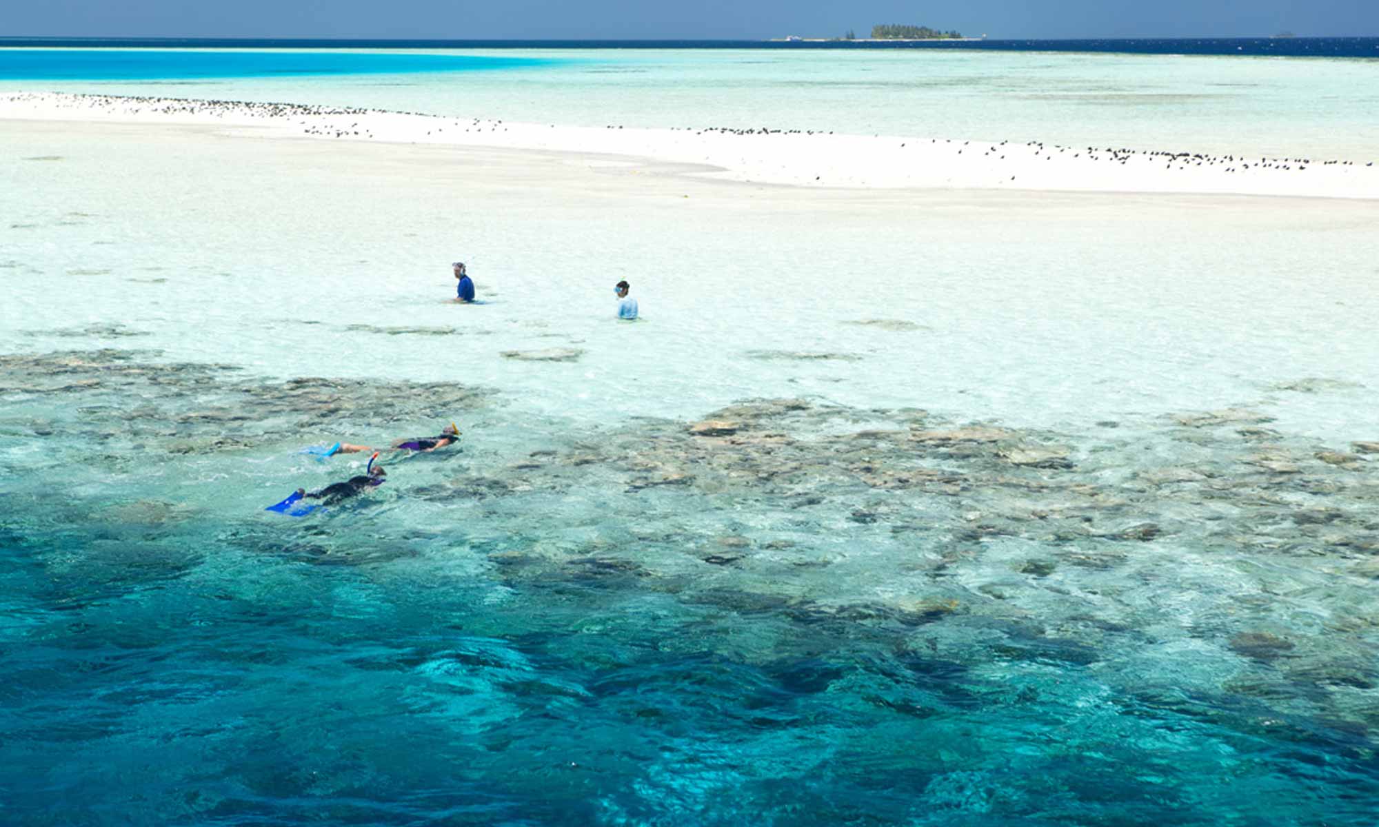 Slow Dive Indischer Ozean Malediven Werner Lau Filitheyo Riff