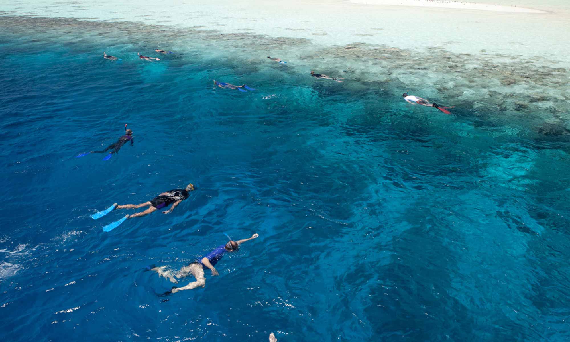 Slow Dive Indischer Ozean Malediven Werner Lau Filitheyo Schnorcheln