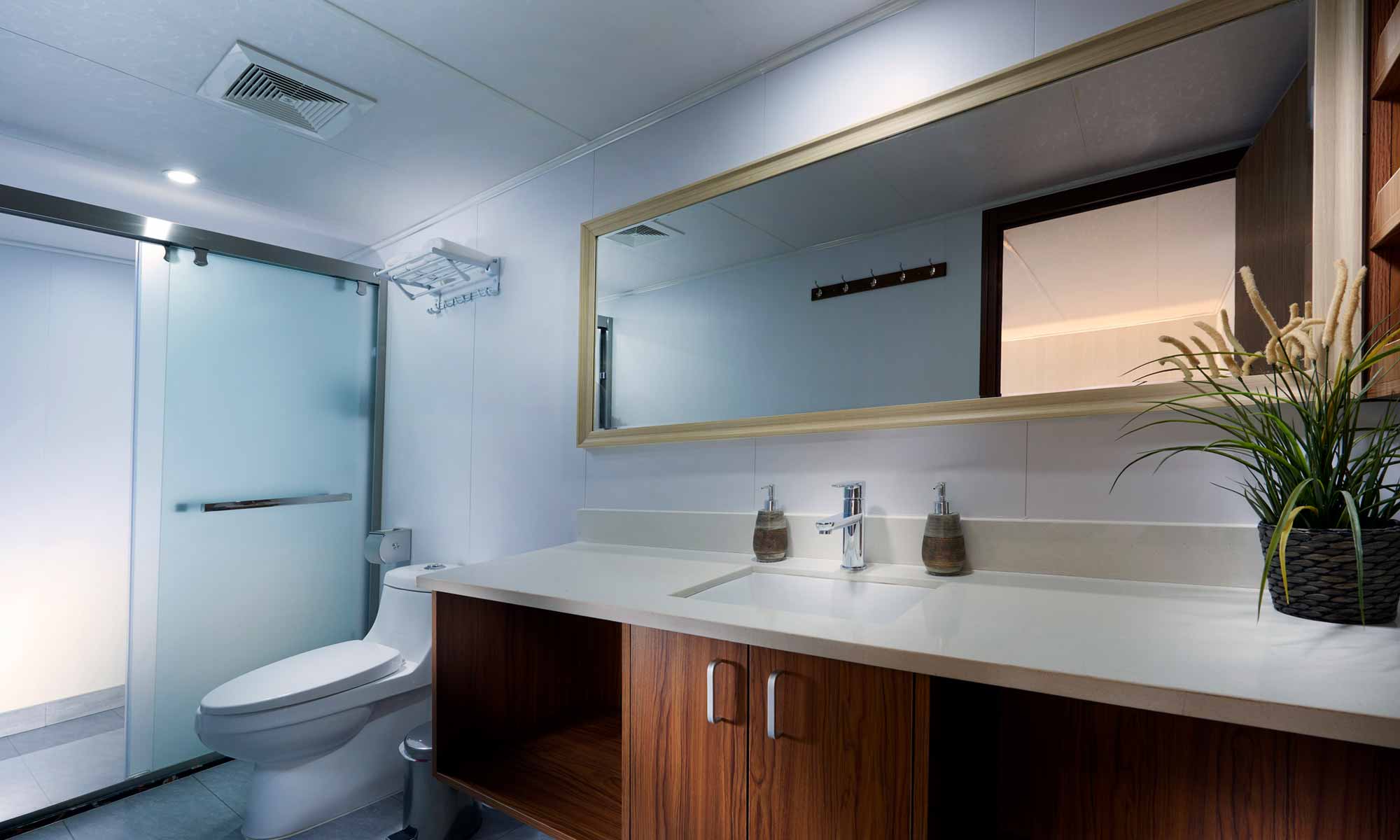 Slow Dive Indopazifik Indonesien New White Manta Bad