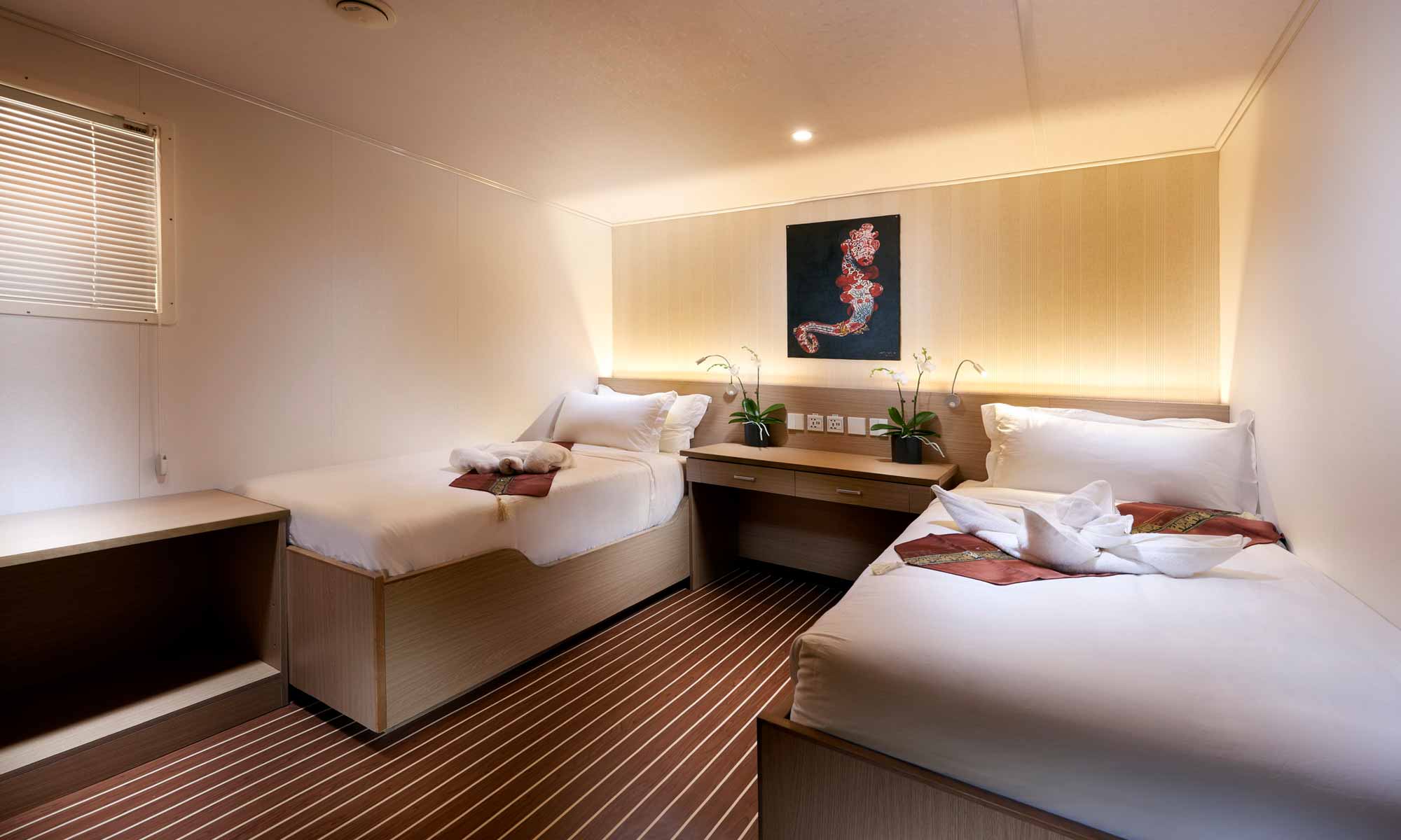 Slow Dive Indopazifik Indonesien New White Manta Kabine 11