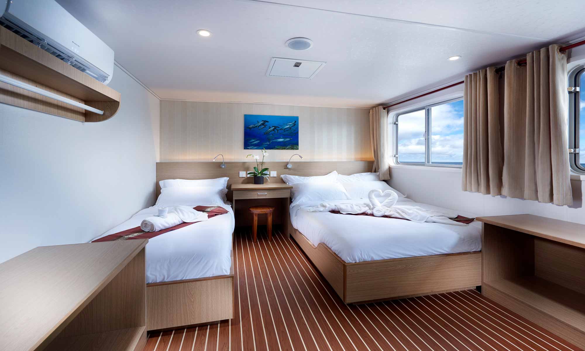 Slow Dive Indopazifik Indonesien New White Manta Kabine 6