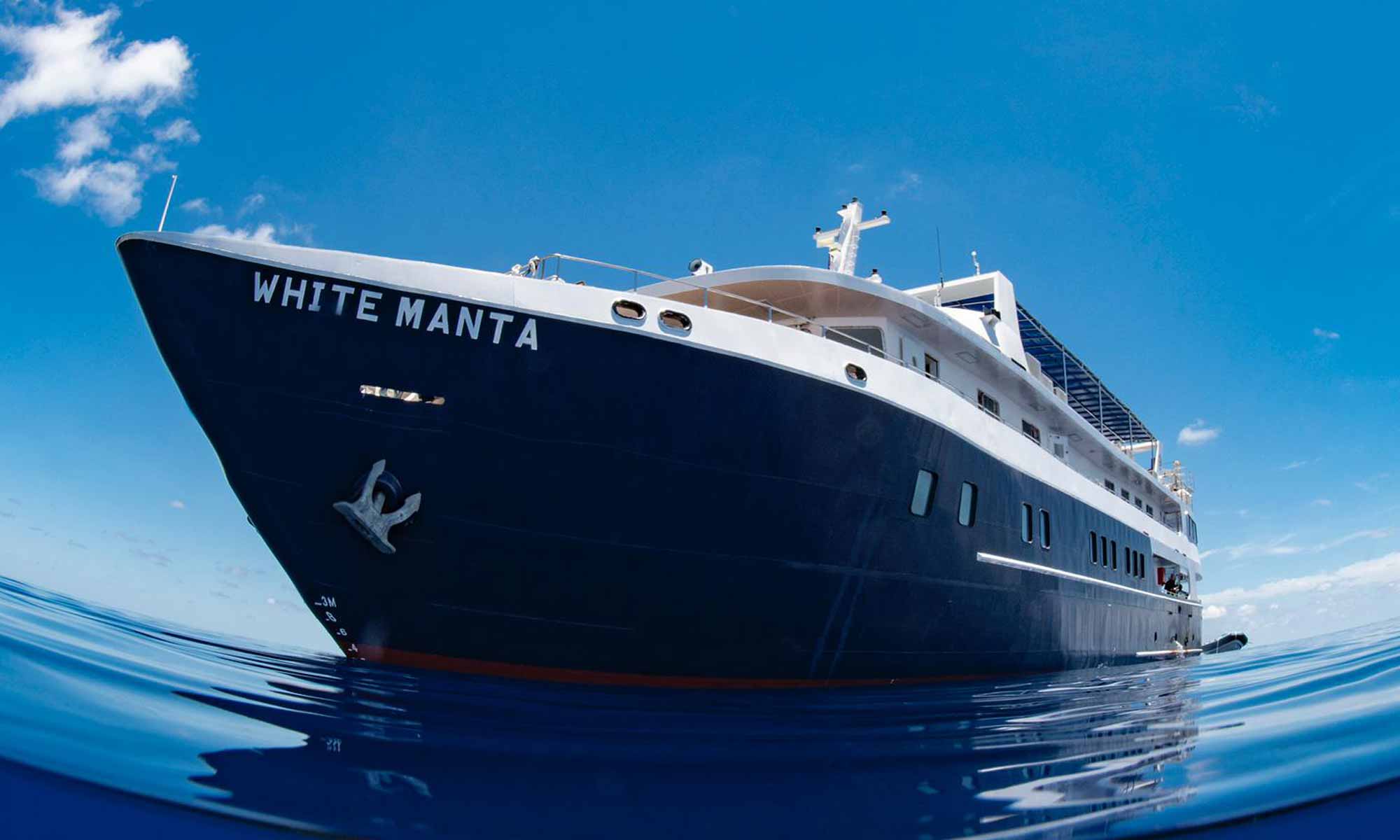 Slow Dive Indopazifik Indonesien New White Manta