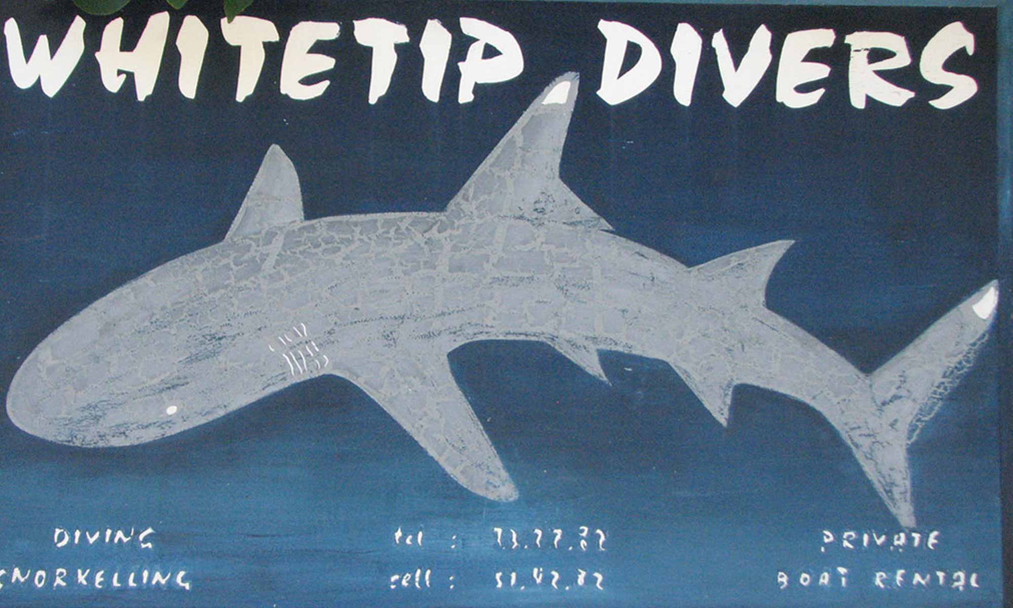 Slow Dive Indischer Ozean Seychellen White Tip Divers Praslin