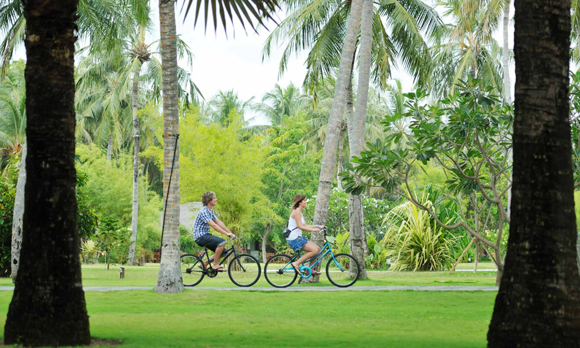 Slow Dive Indischer Ozean Malediven Sun Island Garten