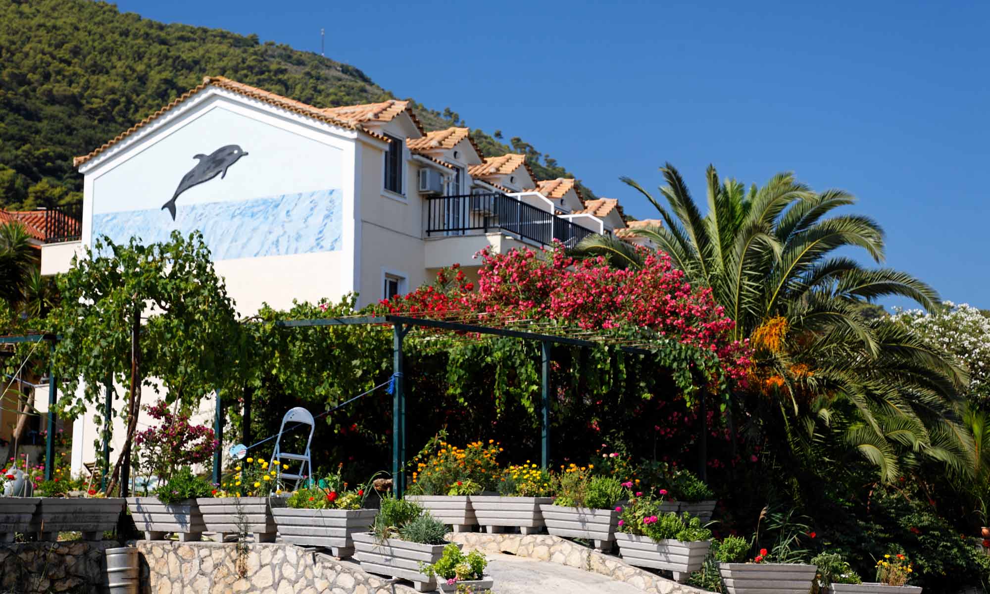 Slow Dive Angebote Griechenland Zakynthos Appartments