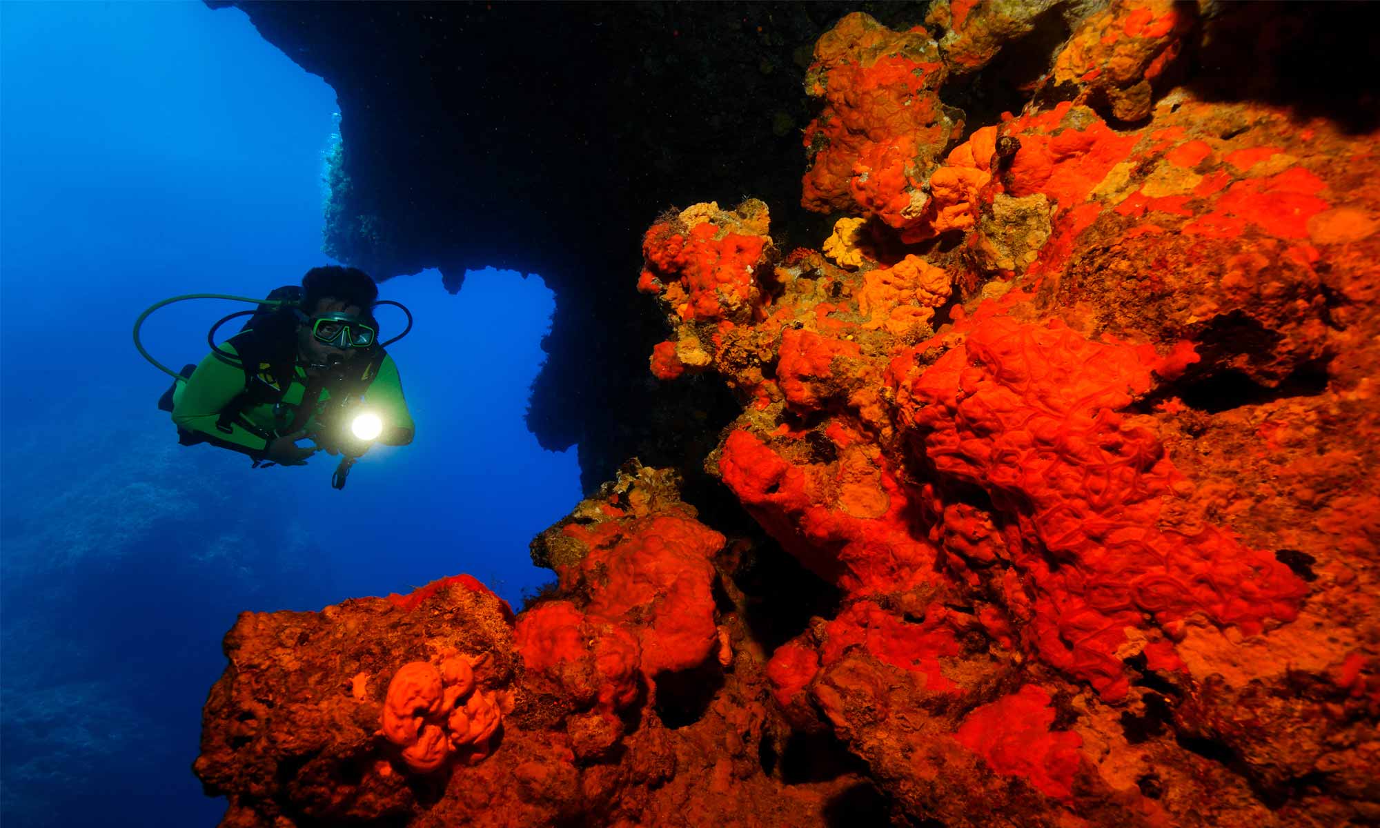 Slow Dive Angebote Griechenland Zakynthos Korallen