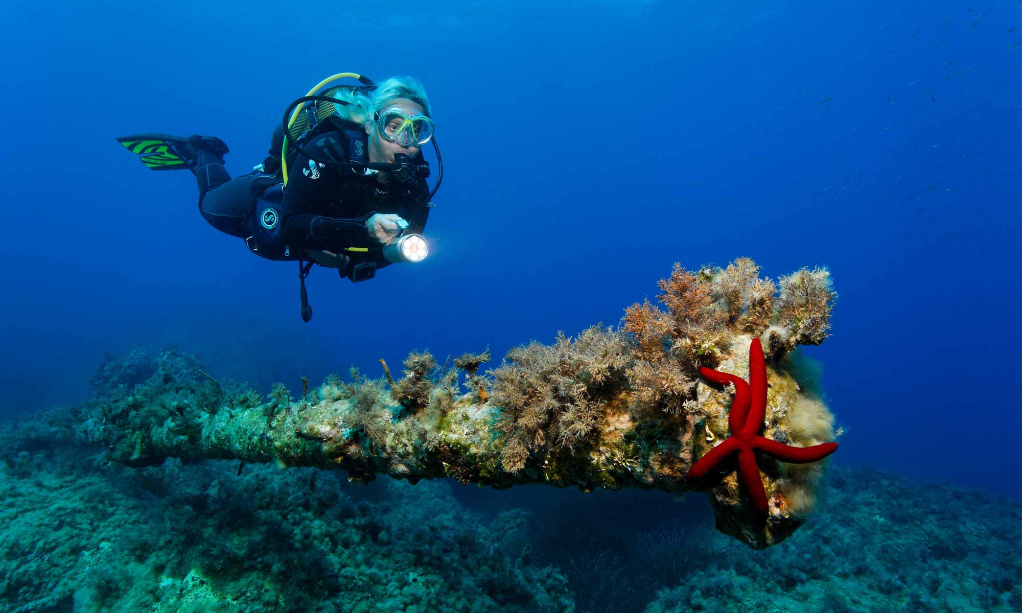 Slow Dive Angebote Griechenland Zakynthos Unterwasser Pelozi Wrack
