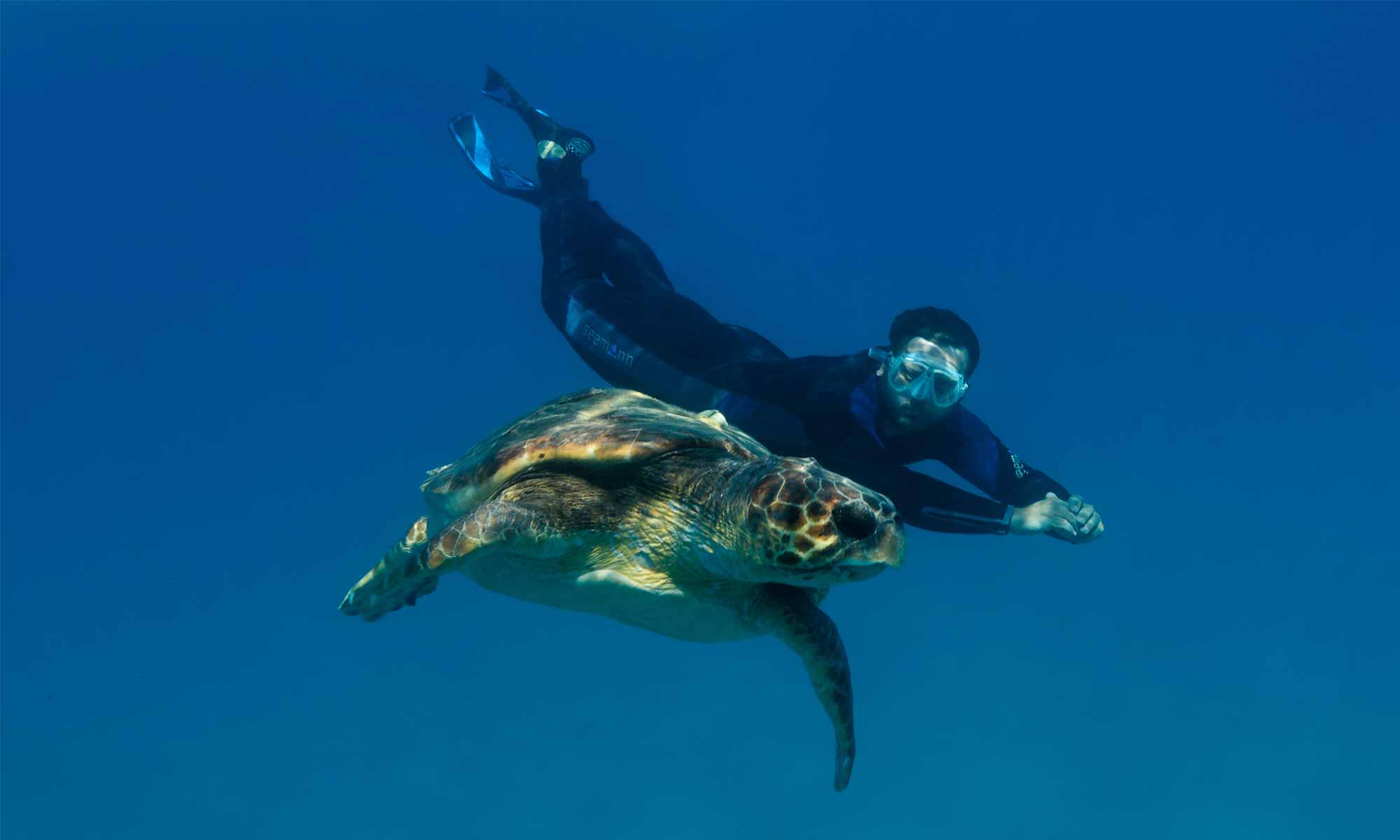 Slow Dive Angebote Griechenland Zakynthos Unterwasser Schildkröte