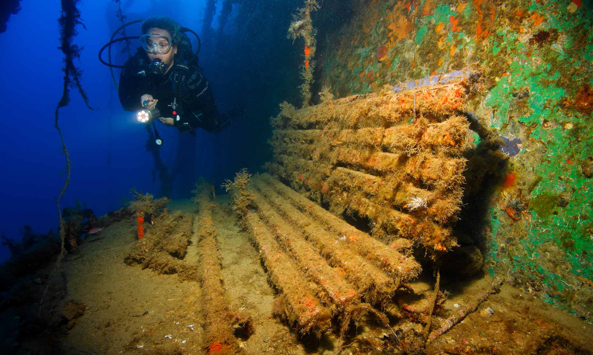Slow Dive Angebote Griechenland Zakynthos Unterwasser Wrack Backbordbank