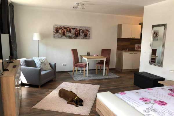 Slow Dive Angebote Österreich Grüblsee Steiermark Appartment Wohnzimmer