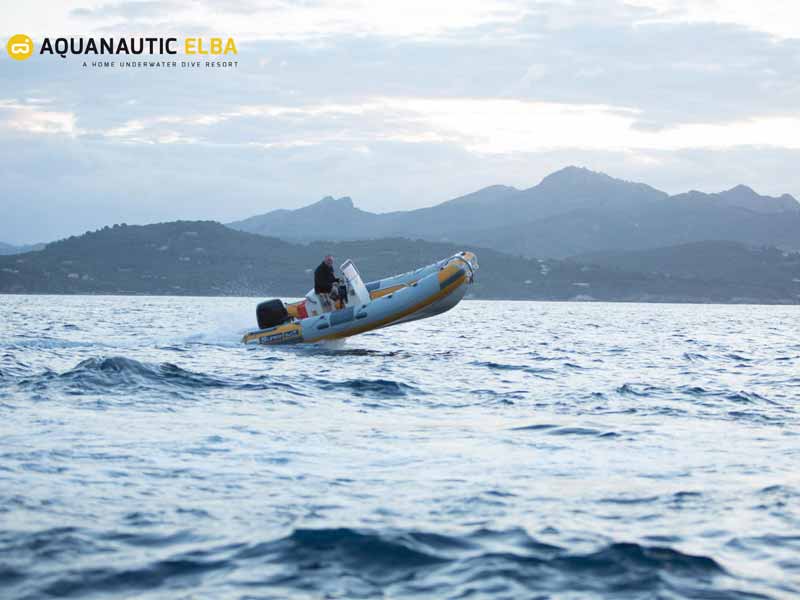 Slow Dive Angebote Italien Elba Sportboot