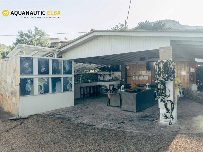 Slow Dive Angebote Italien Elba Tauchbasis Aquanautic Elba