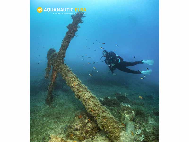 Slow Dive Angebote Italien Elba Unterwasser Kreuz