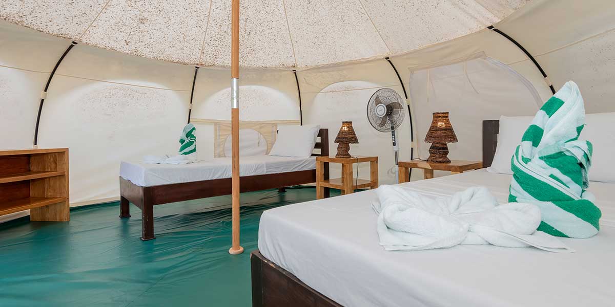 Slow Dive Rotes Meer Ägypten Sea Serpent Excellence Twin Kabine