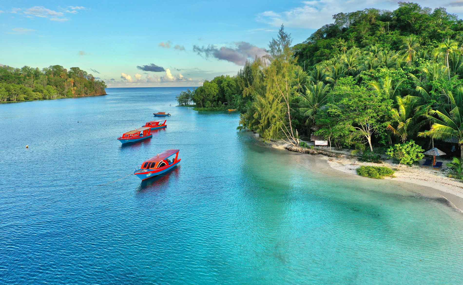 Tauchreisen Slow Dive - Dive in with Us!