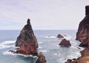 Slow Dive Atlantik Madeira