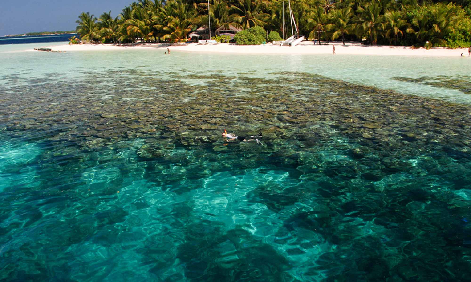 Slow Dive Indischer Ozean Malediven Euro Divers Vilamendhoo Schnorcheln