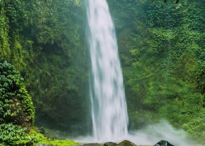 Slow Dive Indopazifik Indonesien