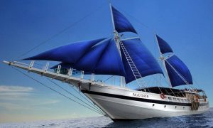 Special Tauchreise Philippinen Gagayan 2026 