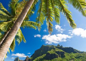 Slow Dive Südsee Französisch Polynesien