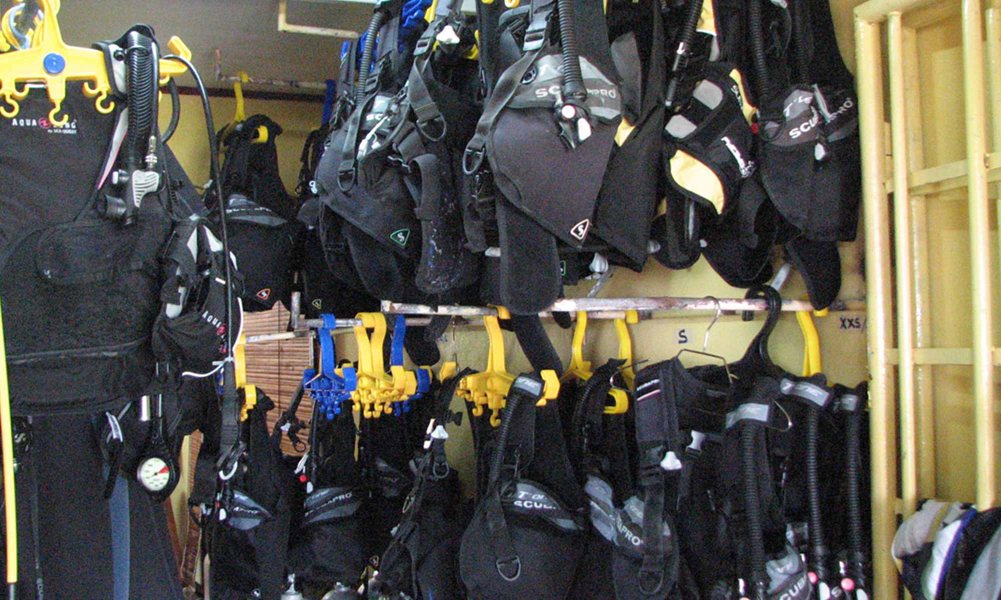 Slow Dive GmbH Seychellen Octopus Diver Praslin