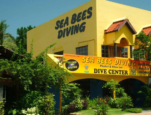 Sea Bees Diving Phuket