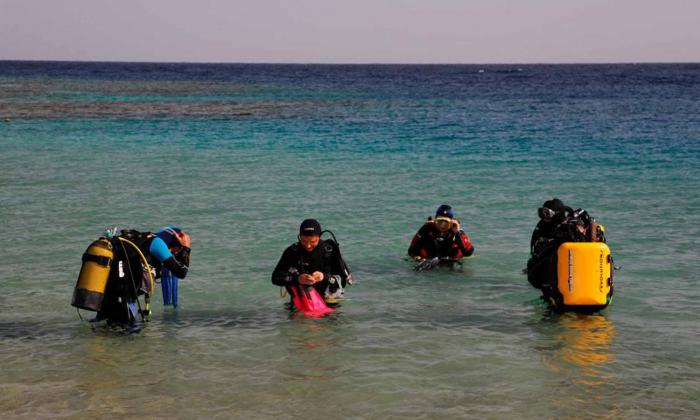 Slow Dive Rotes Meer Ägypten Orca Dive Club Coral Garden Strandtauchgang