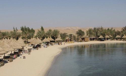 Slow Dive Rotes Meer Ägypten Mövenpick Resort El Quseir