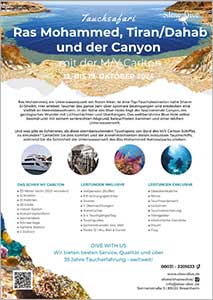 Tauchsafari: Erlebe das Unterwasserparadies Nationalpark Ras Mohammed, Tiran, Dahab und das beeindruckende Canyon Riff!