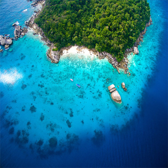 Special Tauchsafari Similan Islands, Koh Bon, Koh Tachai, Richelieu Rock, Surin Island