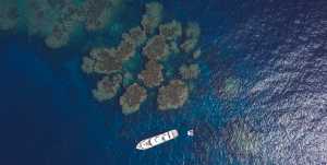 Special Tauchreise Philippinen Gagayan 2026 